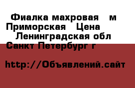 Фиалка махровая . м. Приморская › Цена ­ 100 - Ленинградская обл., Санкт-Петербург г.  »    